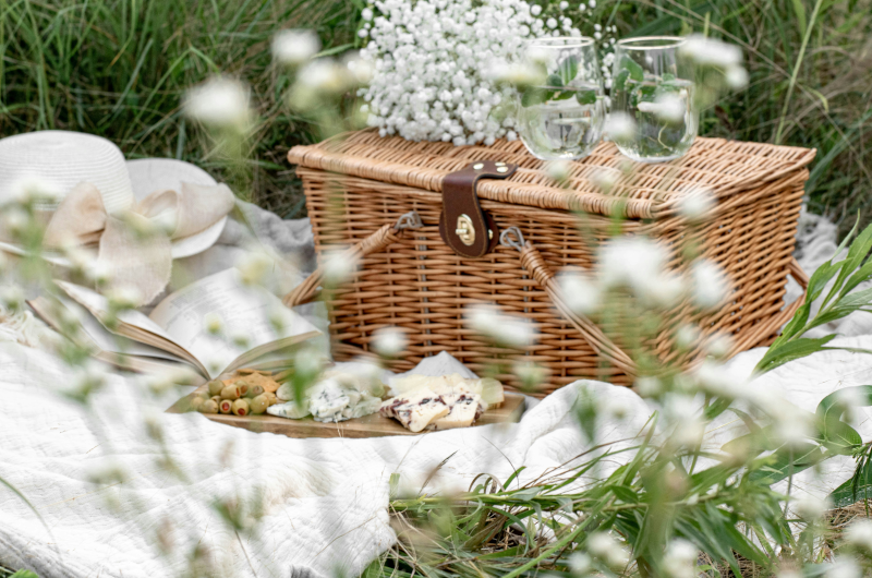 Picknick in der Natur von Serpiano